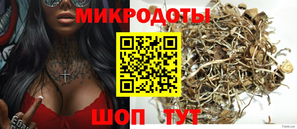 Городец  Галлюциногенные грибы Psilocybe  Псилоцибиновые грибы ЛСД  Вход с VPN 